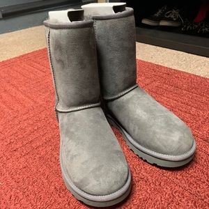 NWT Gray Uggs